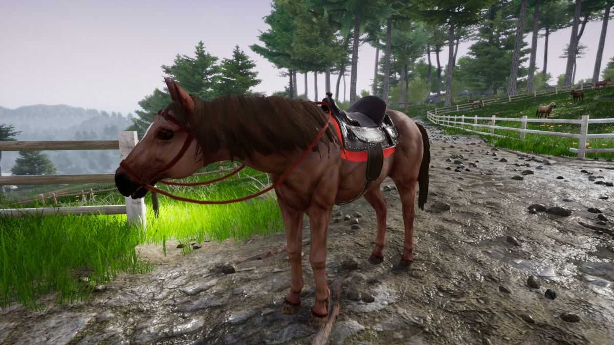 Игры лошади - играть в игры про лошадей онлайн бесплатно для девочек