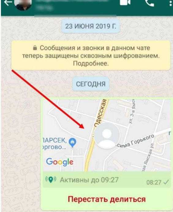 Как скинуть геолокацию по whatsapp быстро и правильно - 2 способа