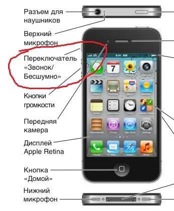 Iphone — популярный и прогрессивный