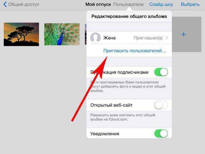 5 функций iphone на все случаи жизни