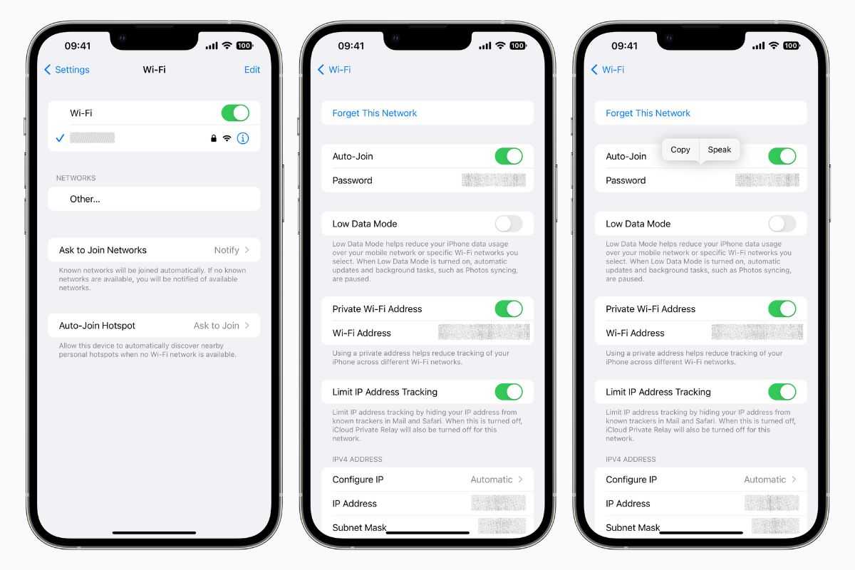 Как на айфоне посмотреть пароль от wi-fi к которому подключен