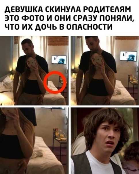 Как проверить, кто просматривал вашу историю и статус в whatsapp, не сообщая им об этом | дз техкс