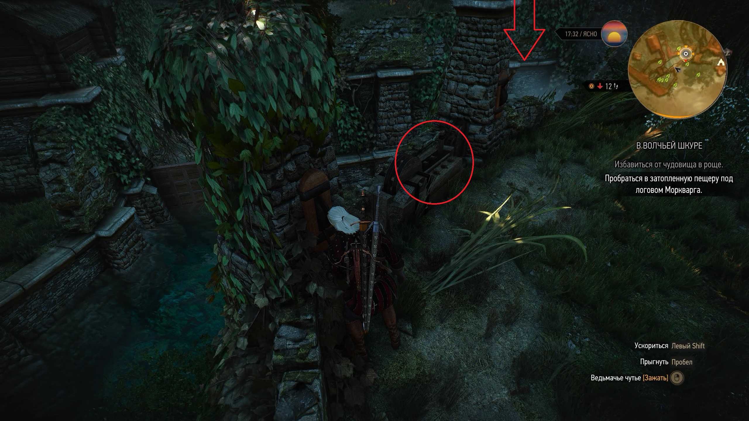 В волчьей шкуре в the witcher 3: wild hunt: как начать и пройти