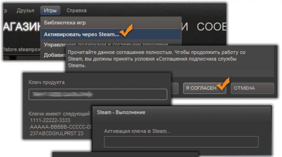 Steam (стим) - куда вводить ключ для активации игры