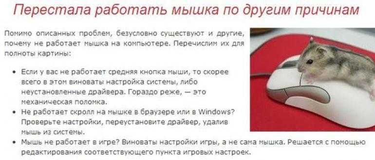 Как определить почему компьютер пищит