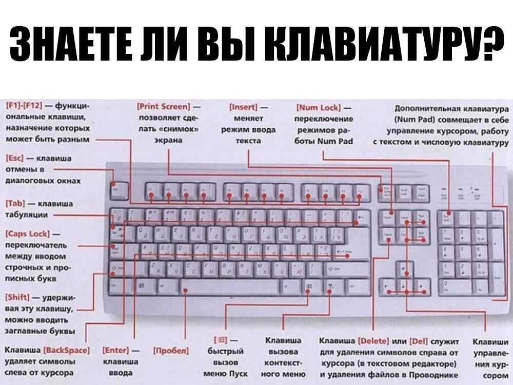 Как развернуть окно на весь экран с помощью клавиатуры: изучение других способов