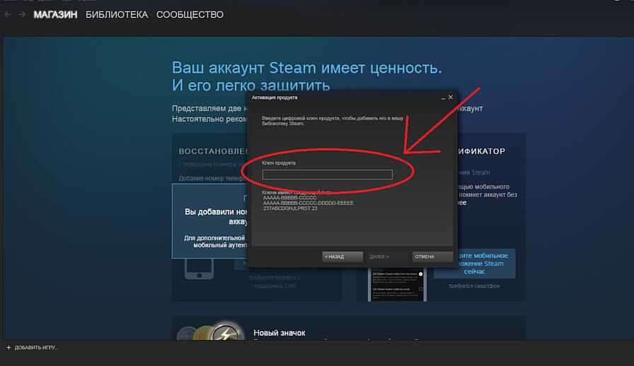 Стим пишет ключ уже активирован – infocrunch
