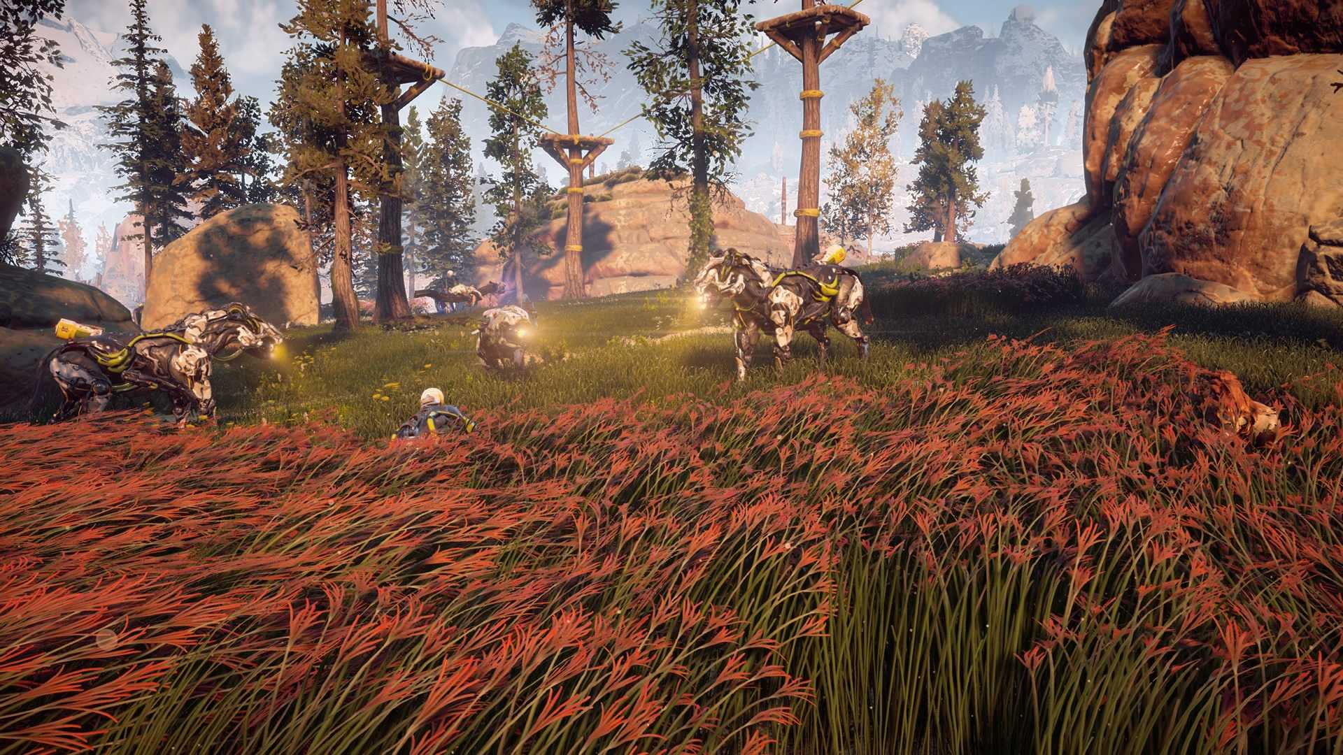 Где найти каждый металлический цветок в horizon zero dawn
