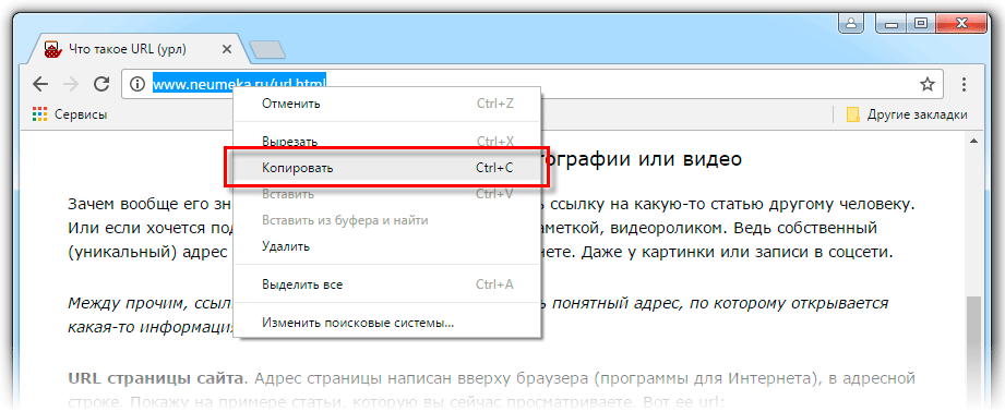 Url: протокол, доменное имя, путь к файлу