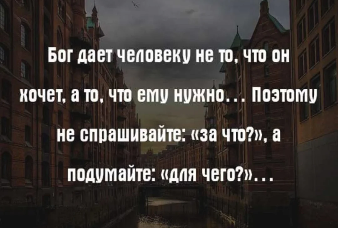 Приложение на андроид: скачиваем с официального сайта