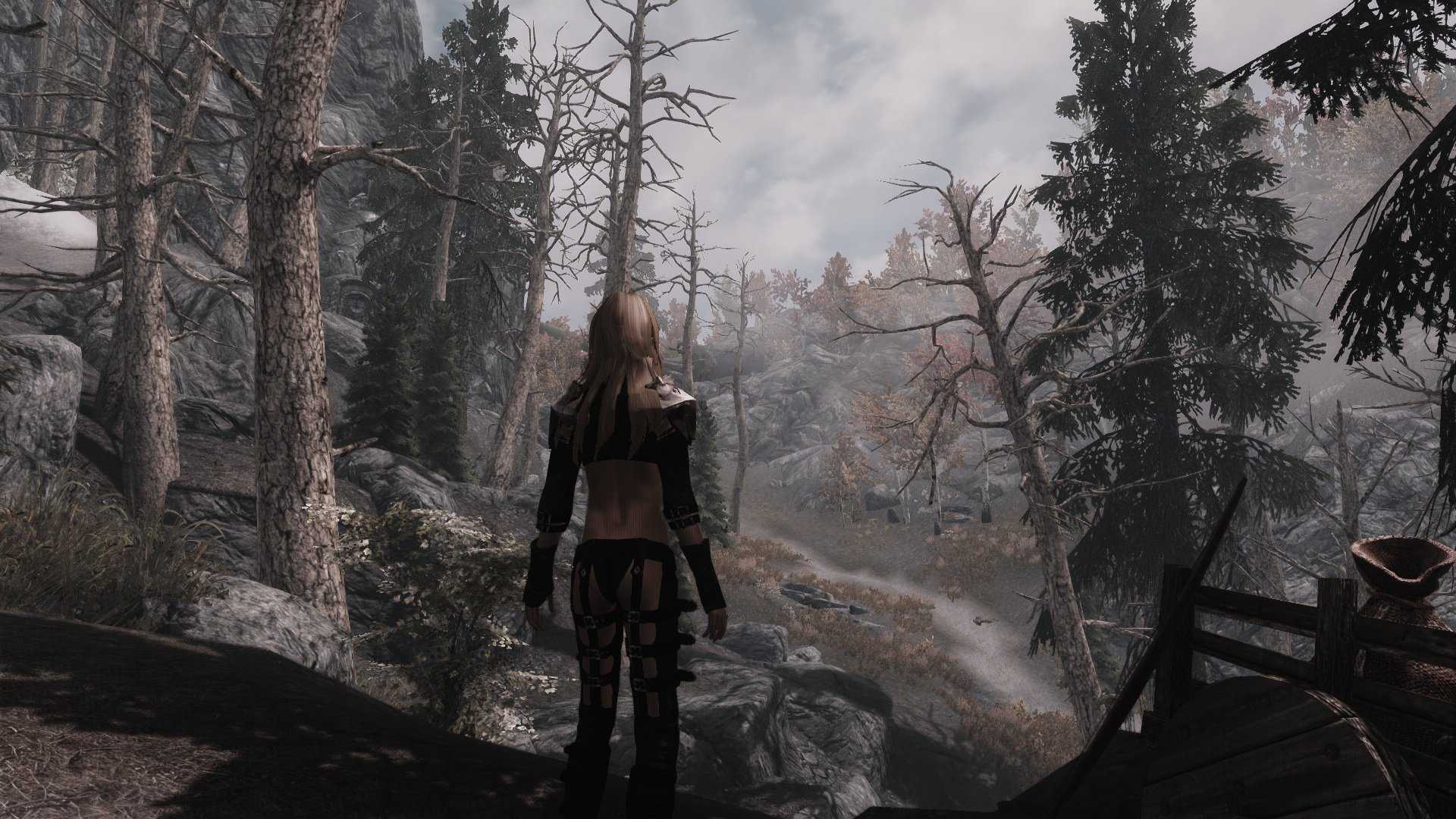 Как установить моды для skyrim special edition на xbox one и ps4