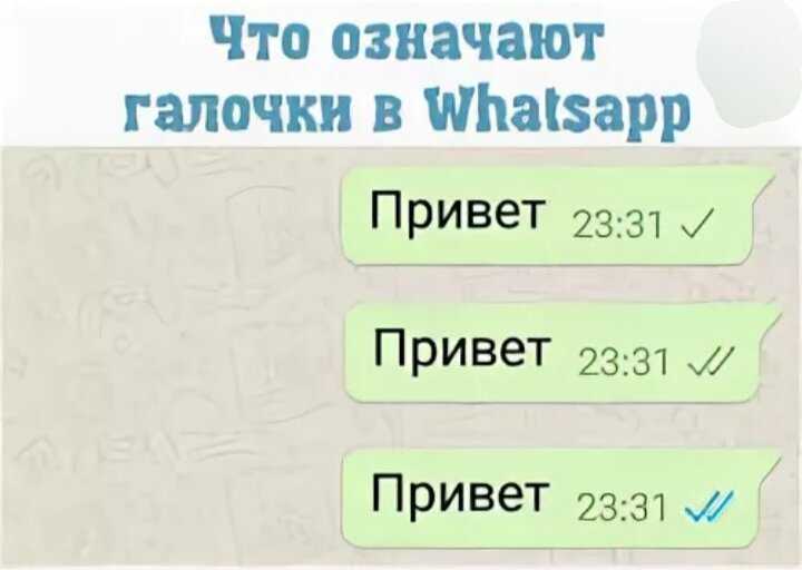 Ватсап это соцсеть или нет: является ли приложение мессенджером