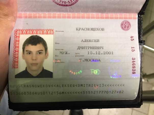Как сканировать документ на айфон 11?