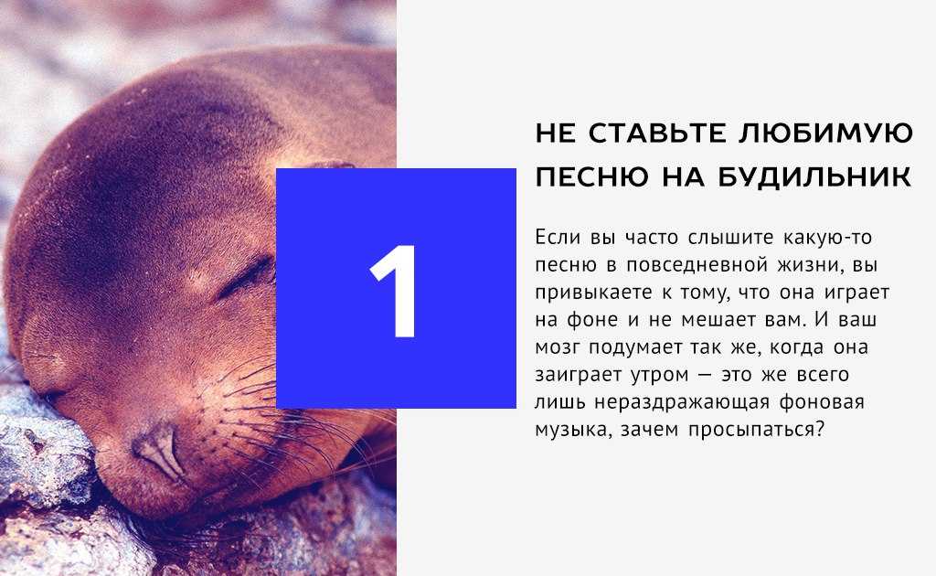 Звуки будильника на айфоне являются одним из важных возможностей этого устройства Они могут помочь нам проснуться вовремя не опоздав на работу или на