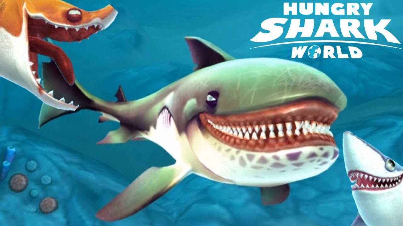 Игра шарк эволюшн полное прохождение. гайд: прохождение и секреты hungry shark evolution для android и ios. основные и бонусные акулы