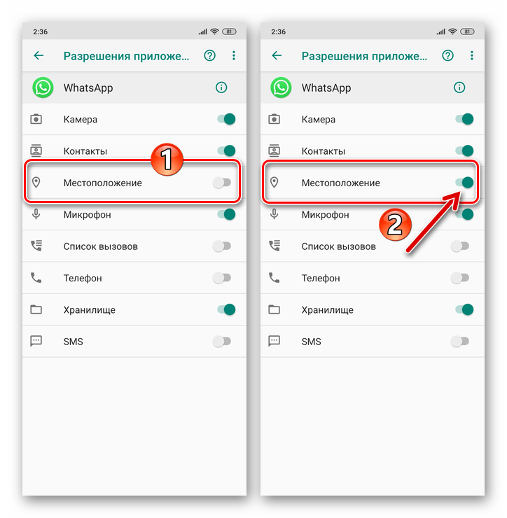 Геолокация whatsapp. местоположение в whatsapp.