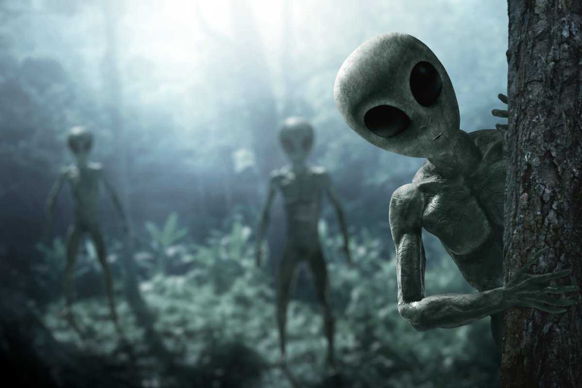 Серия alien: лучшие и худшие игры по вселенной «чужого»