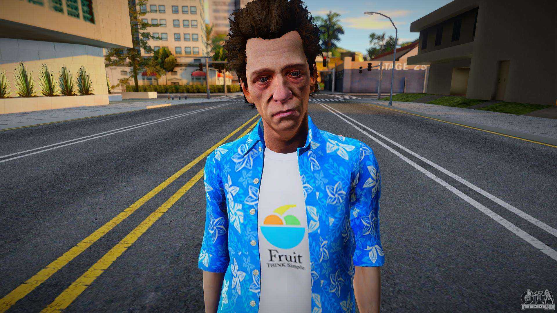 Gta san andreas: описание сюжета и геймплея игры