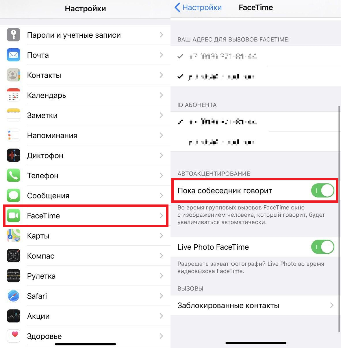 Обзор фейстайма для iphone