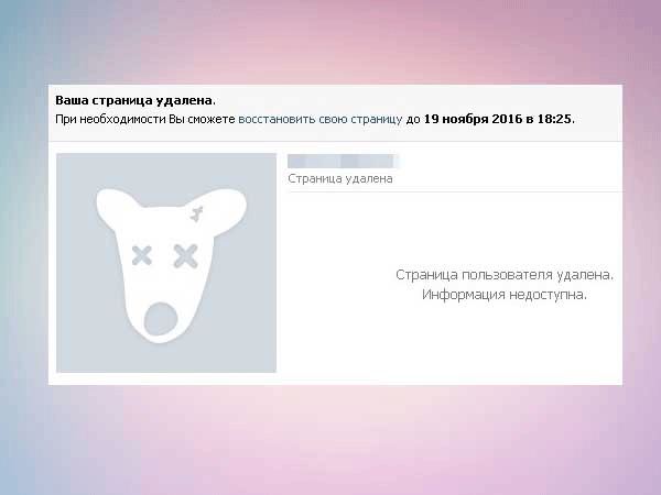 Как посмотреть историю удаления друзей вконтакте: методы на пк и смартфоне