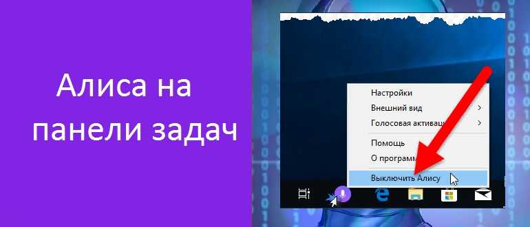 Алиса в стране яндекса: помощник или игрушка?