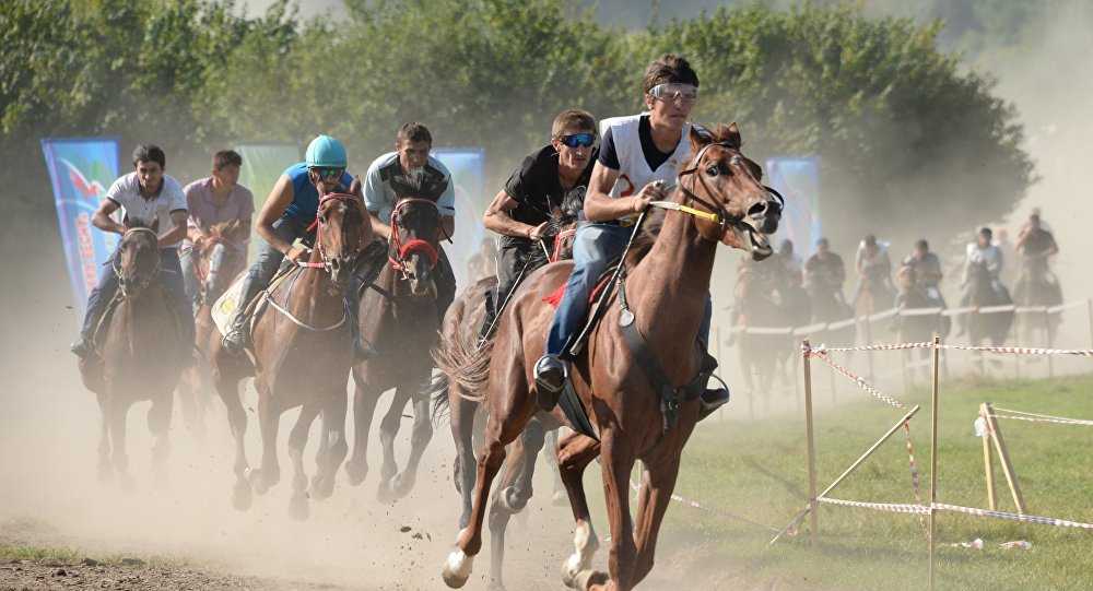 Онлайн-игра академия конного спорта (horseback riding academy) - играть online.