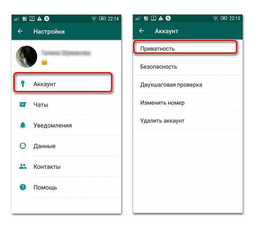 Как закрепить сообщение whatsapp в чате или группе