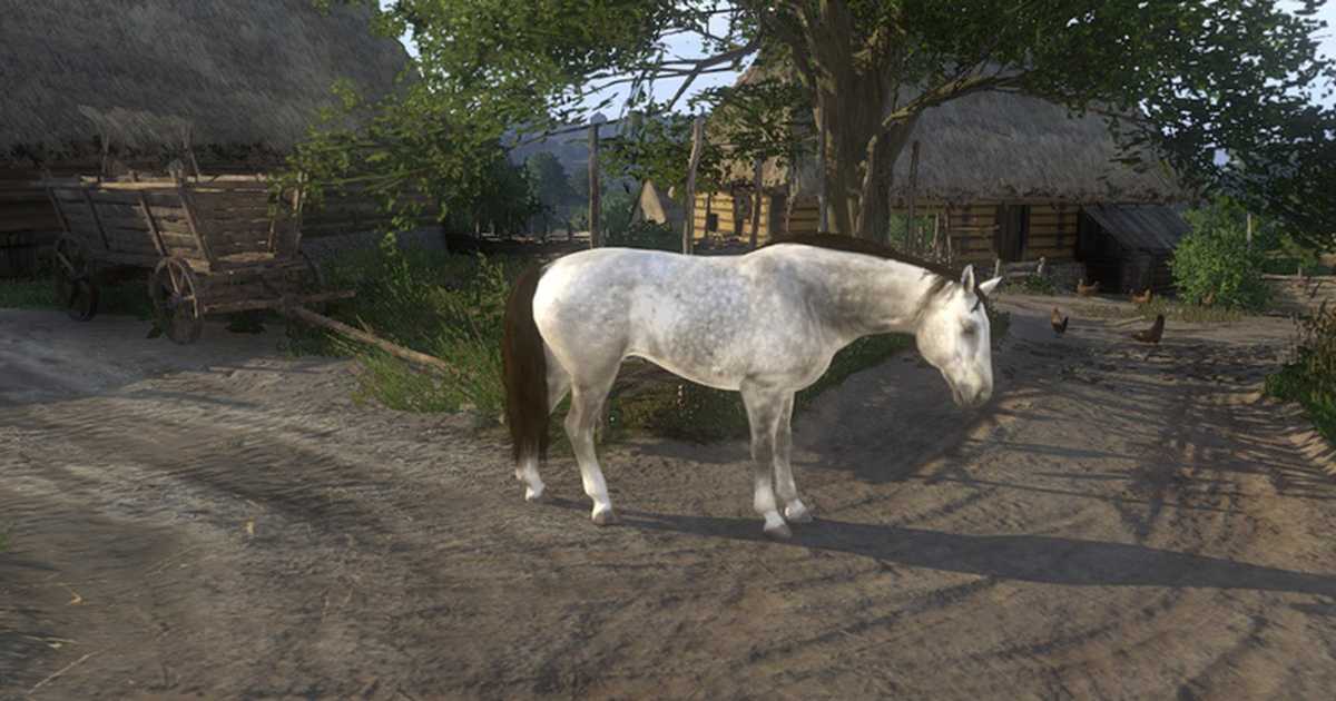 Kingdom come: deliverance задание беги! | прохождение игры kingdom come: deliverance на русском | прохождения компьютерных игр