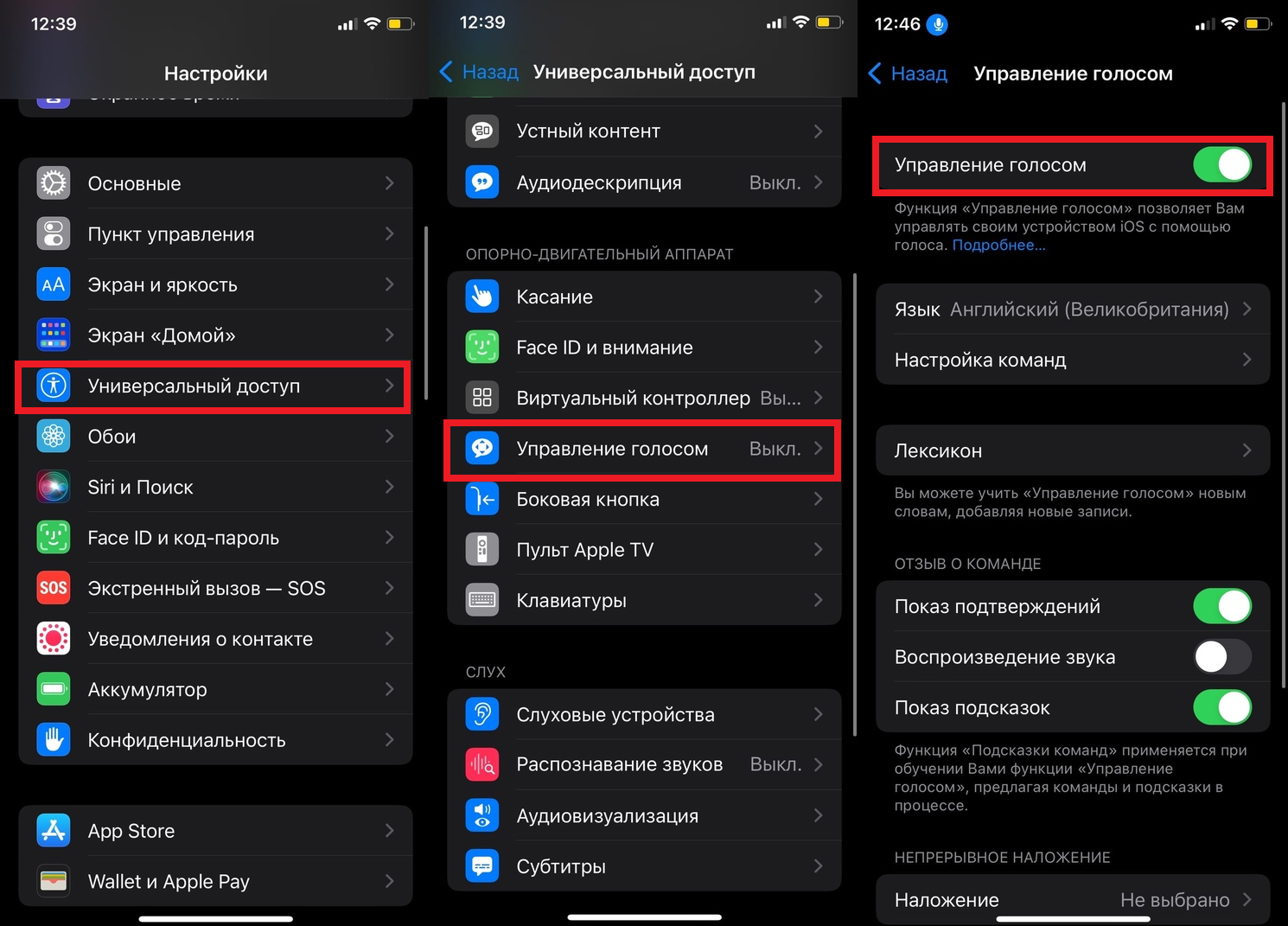 Voiceover на экране блокировки iphone / ipad? как разблокировать iphone, если voiceover включен - btip
