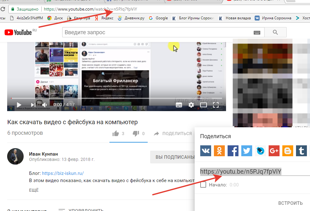 Где найти скачанные файлы на андроиде