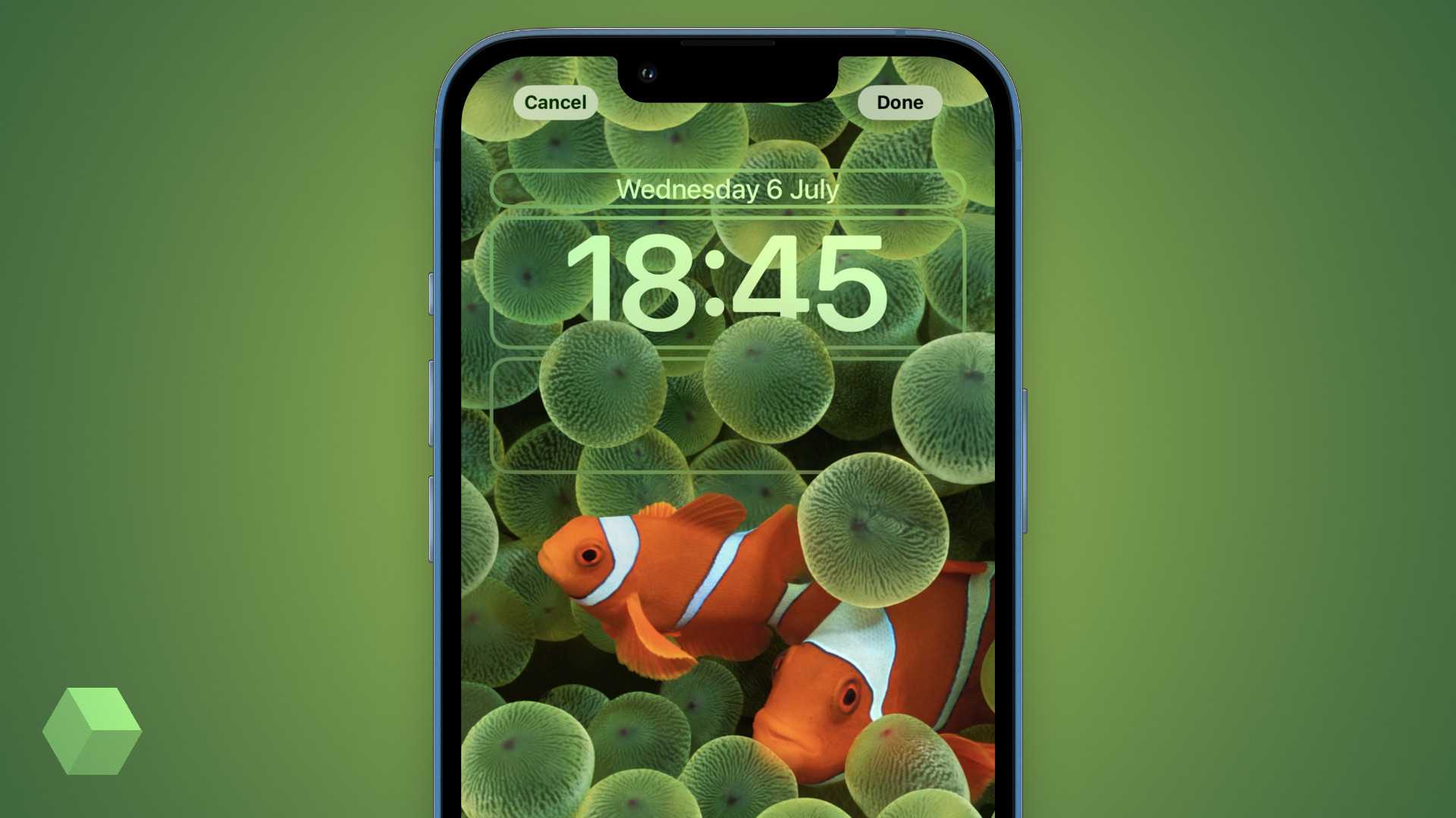 Как установить живые обои на ios 16.6: подробная инструкция