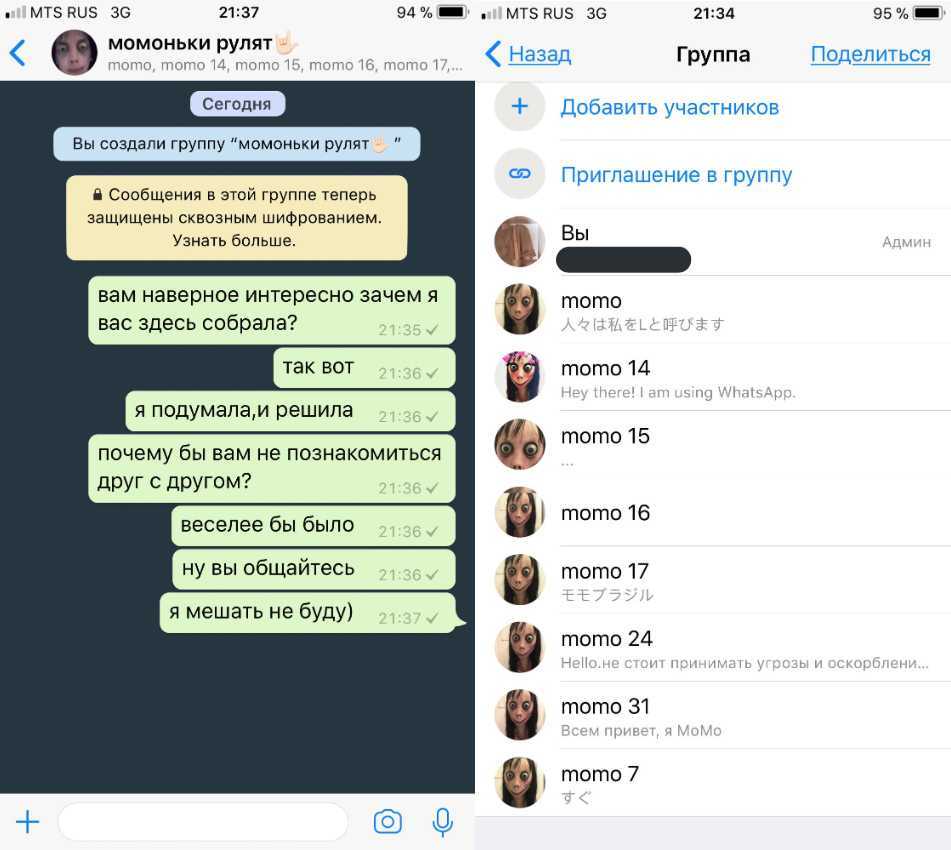 Как найти номер момо в ватсапе точный чтоб написать и ответили, аккаунт момо в ватсапе