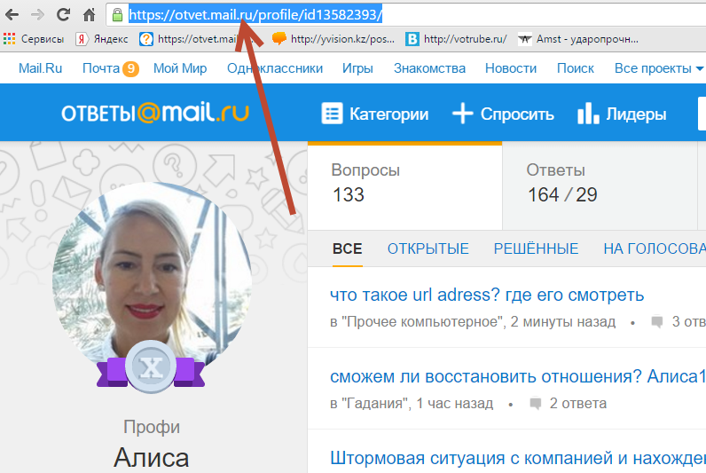 Url адрес - что это такое, из каких частей состоит, как выглядит, его структура