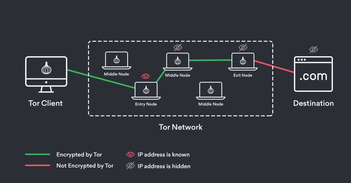 Почему не работает tor на android? решение проблем с доступом к сети тор