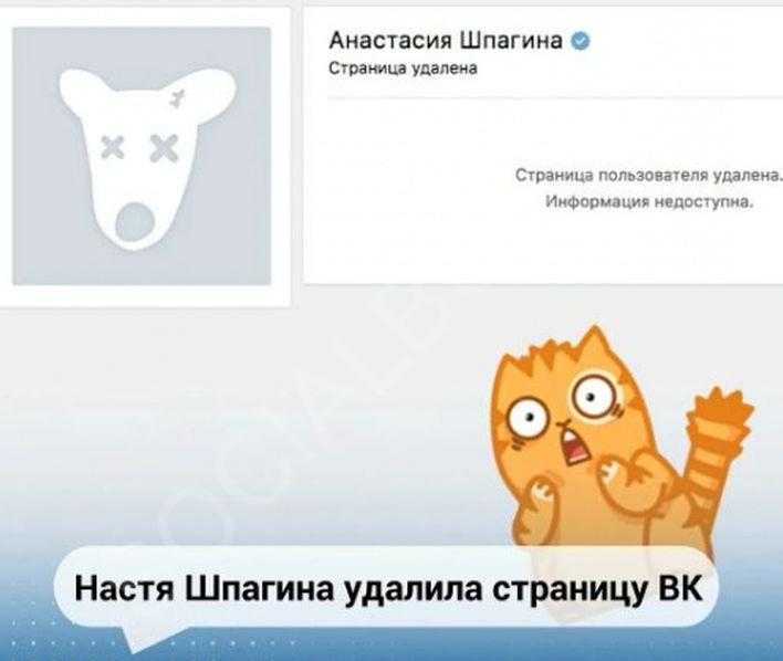 Как посмотреть удаленную страницу вконтакте — копия в яндекс и гугл