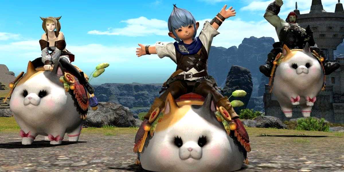 Как настроить своего персонажа в final fantasy xiv online